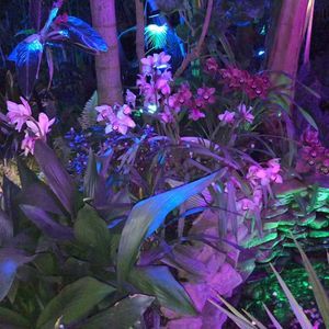 Meet your Posher, Rita